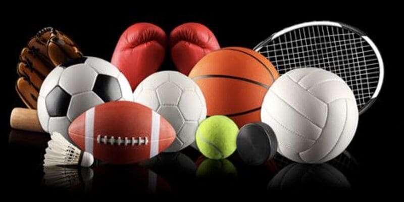 Cách Hoạt Động Của Panda Sports