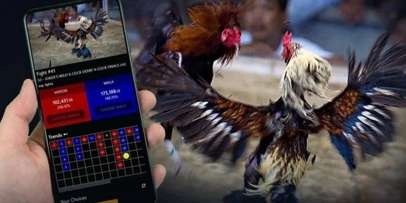 Tổng Quan Về Đá Gà Eu88